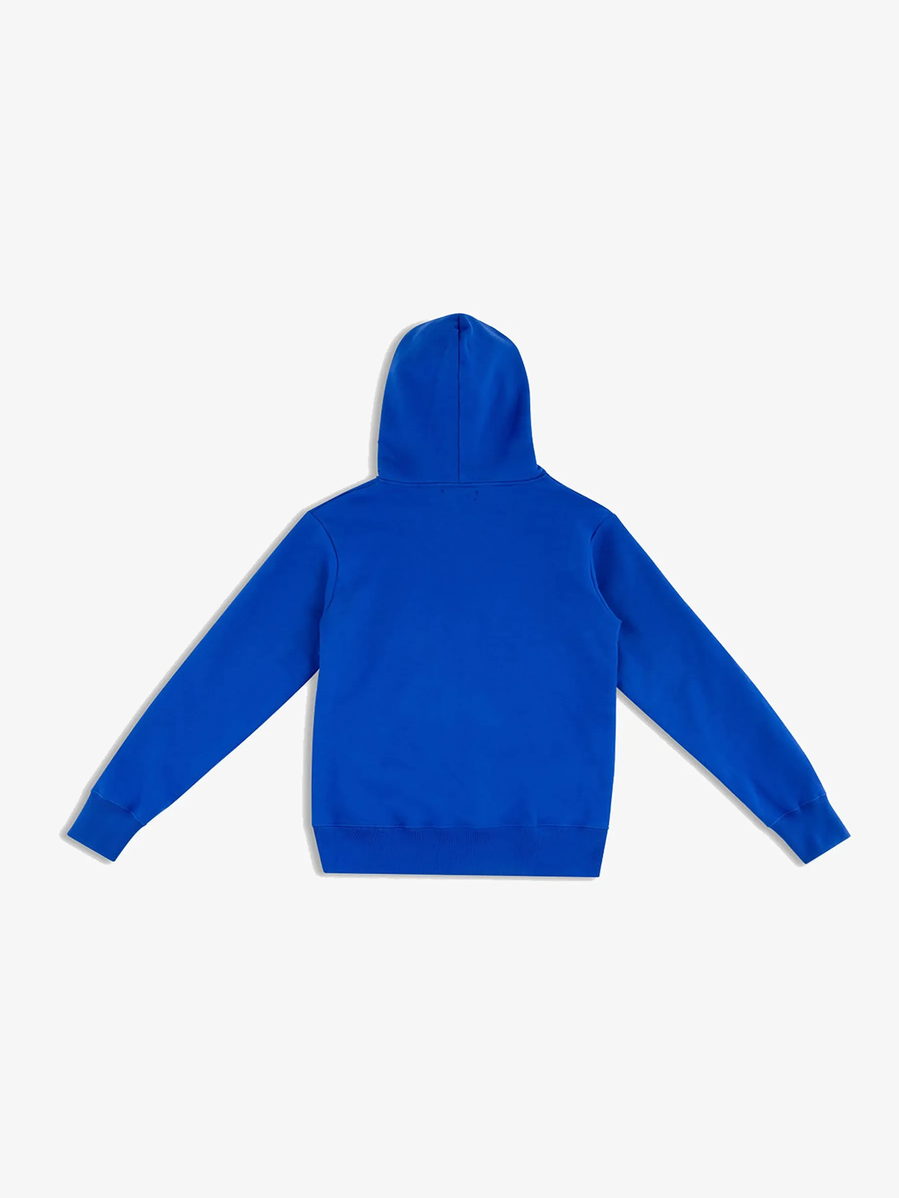 Solid Gold Crane Hoodie, Lapis